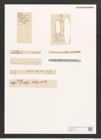 Berkeleya rutilans var. drillwynii (Ag.) Grun. (de-Toni-Nr.: Genus 21, Species 1218) Zeichnungen Sammlung Grunow (NHMW-BOT-W0369474)